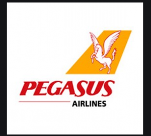 pegasus