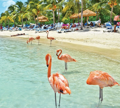 aruba