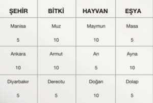 isim şehir hayvan